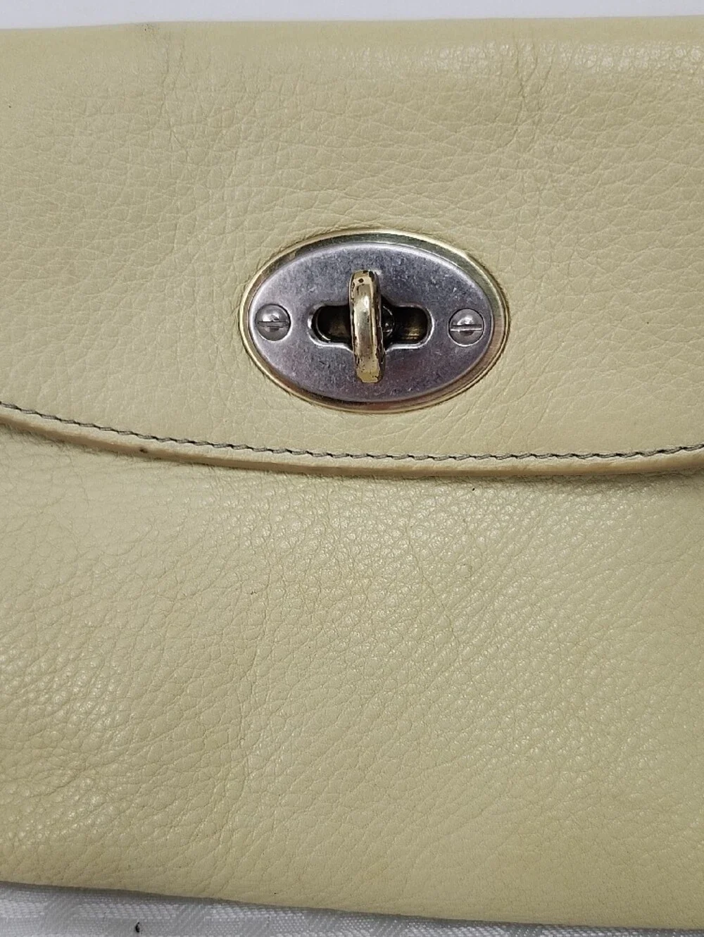 Fossil crafted from
